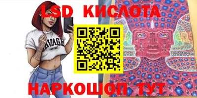 тгк Гай