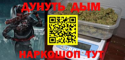 мдпв Гатчина