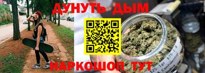 мдпв Гатчина