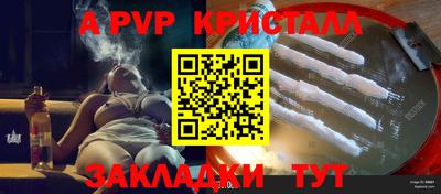 тгк Гай