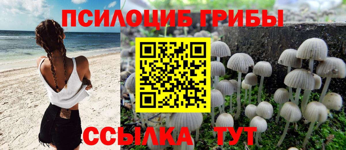Псилоцибиновые грибы прущие грибы Каменск-Шахтинский