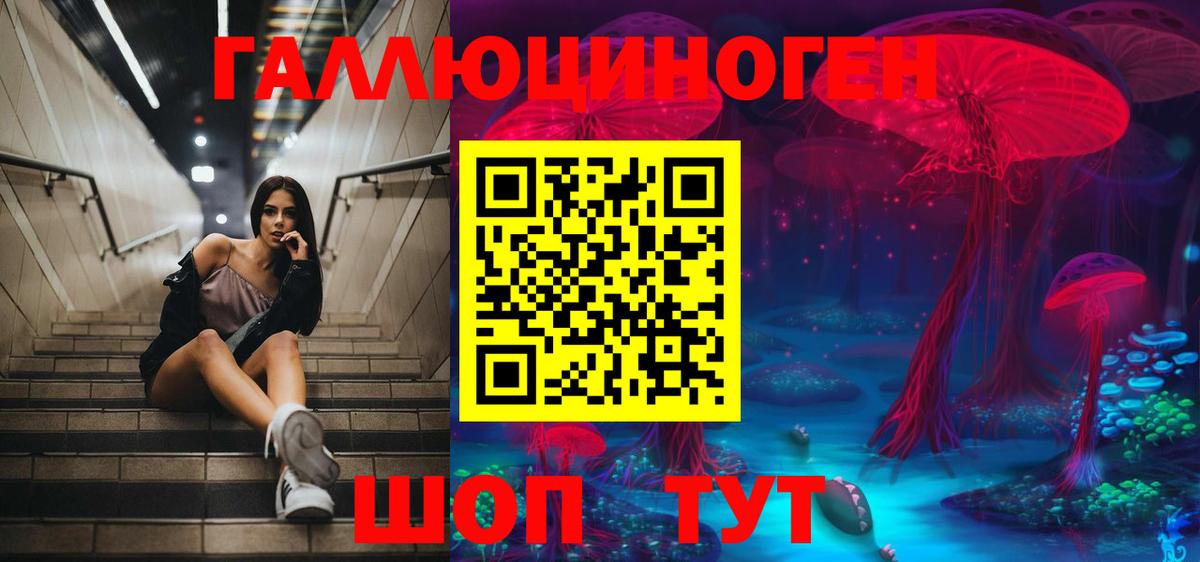 Каменск-Шахтинский  Псилоцибиновые грибы мицелий  Вход с VPN 